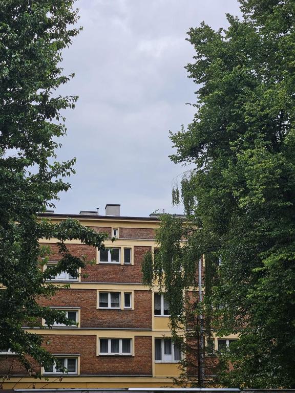 Obraz 6